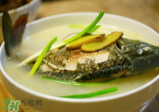 鯉魚(yú)湯怎么做好吃？鯉魚(yú)湯里面可以放什么？