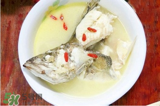 鯉魚(yú)湯怎么做好吃？鯉魚(yú)湯里面可以放什么？