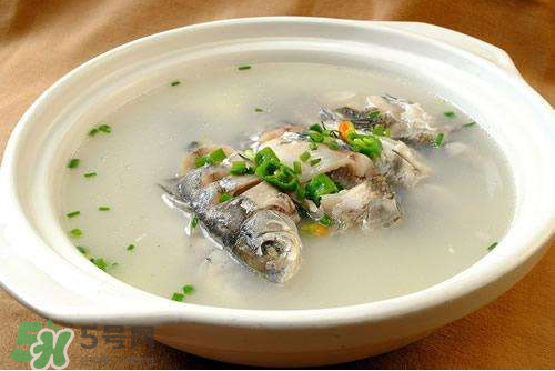 鯽魚湯下奶嗎？鯽魚湯的功效與作用