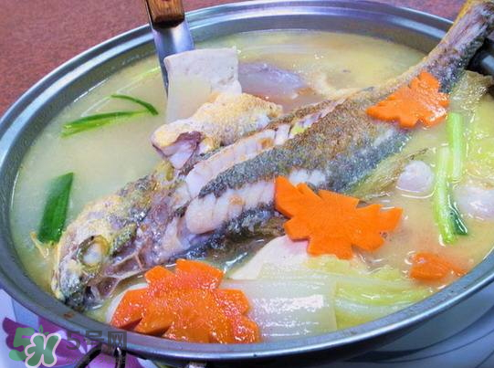 黃魚湯怎么做好吃？黃魚湯的營養價值