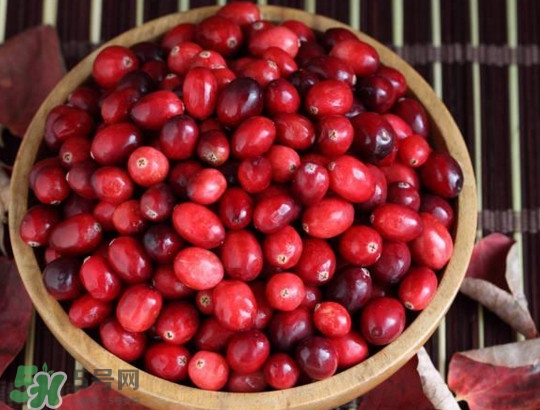 蔓越莓什么時候成熟？蔓越莓什么時候吃最好