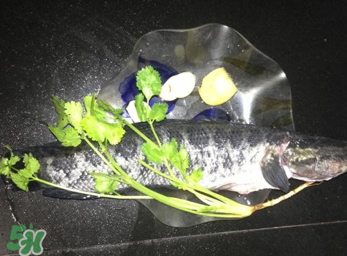 黑魚湯對傷口有好處嗎？黑魚湯的做法術后恢復