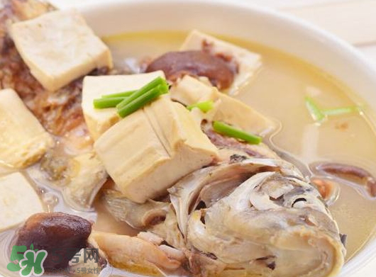 鯽魚湯可以放香菇嗎？香菇鯽魚湯的做法