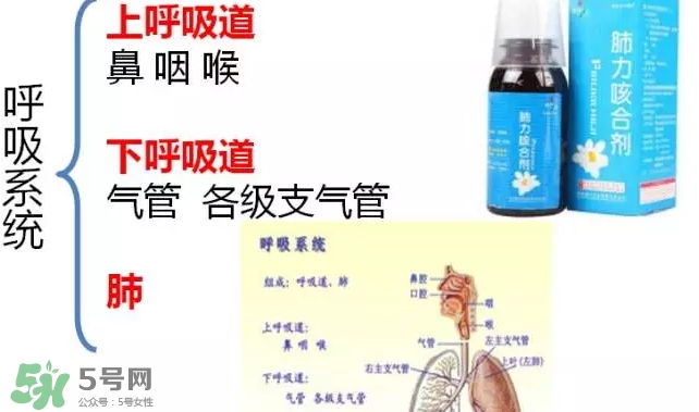肺力咳合劑怎么服用_說(shuō)明書(shū)