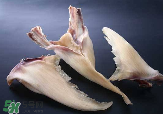 干魚翅怎么保存？魚翅可以放多久？