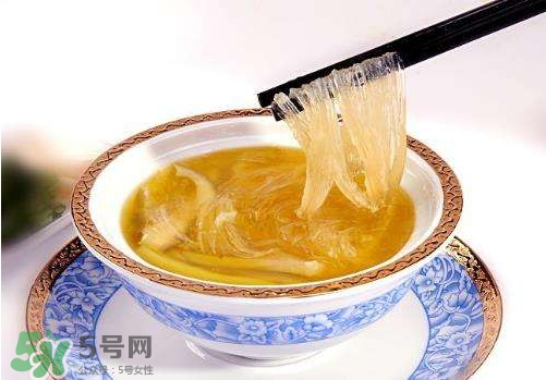 干魚翅怎么保存？魚翅可以放多久？