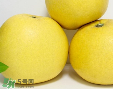 蜜柚是哪個(gè)季節(jié)的水果？蜜柚和沙田柚的區(qū)別是什么？