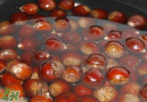 板栗用冷水還是熱水煮？煮板栗用冷水還是熱水？