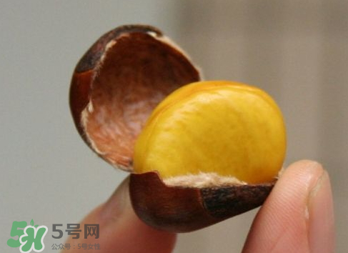 板栗用冷水還是熱水煮？煮板栗用冷水還是熱水？