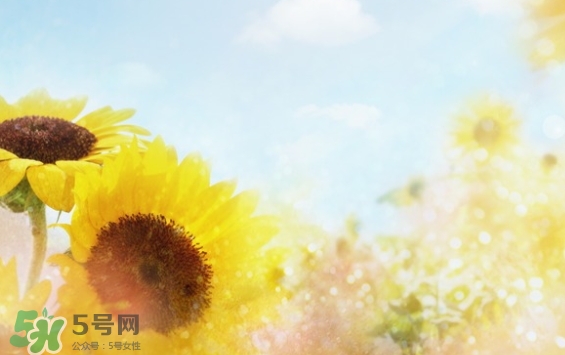 見封滾是什么意思？