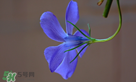 見封滾是什么意思？