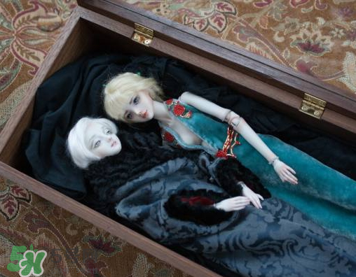 Enchanted Doll多少錢？Enchanted Doll哪里買？
