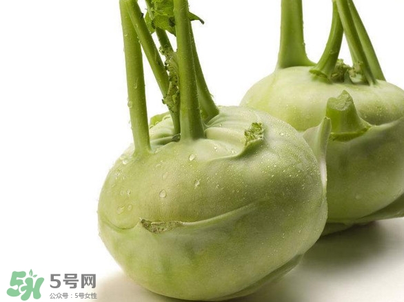 苤藍什么季節種植？苤藍什么時候采收