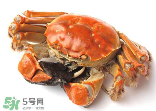 螃蟹里面有寄生蟲嗎？螃蟹有寄生蟲還可以吃嗎？
