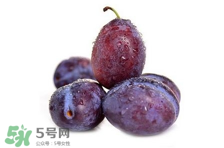 西梅可以放冰箱嗎？西梅放冰箱冷藏還是冷凍？