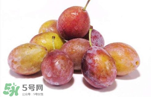 西梅可以放冰箱嗎？西梅放冰箱冷藏還是冷凍？