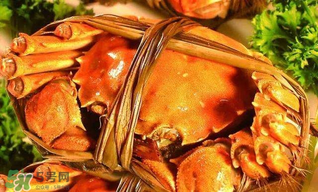 螃蟹吃什么食物長得大？十月份吃什么螃蟹？
