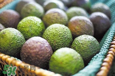牛油果吃了對子宮好嗎？牛油果對子宮的好處