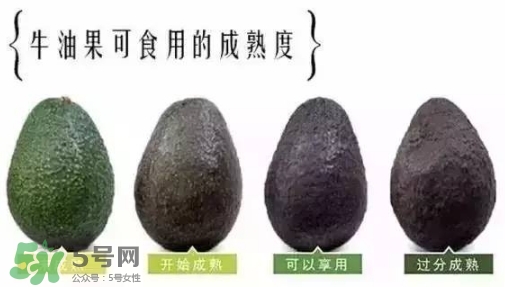 牛油果是什么味道？牛油果是甜的嗎？