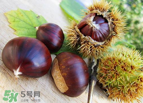 泡板栗酒用什么酒最好？板栗用什么酒泡最好？