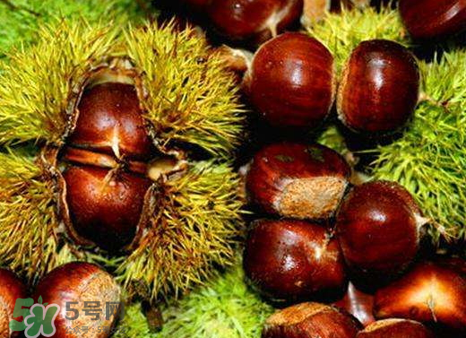 板栗泡酒要去皮嗎？板栗泡酒不去皮可以嗎？
