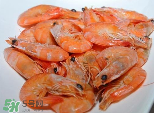 水煮蝦用什么蝦？水煮蝦要放鹽嗎？