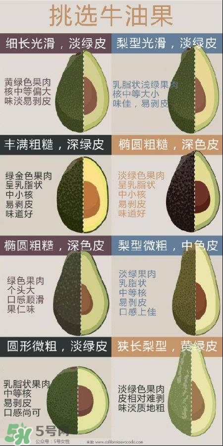 牛油果怎么挑選？牛油果多少錢一斤？