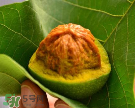 青皮核桃可以冷凍嗎？青皮核桃可以冷藏嗎？