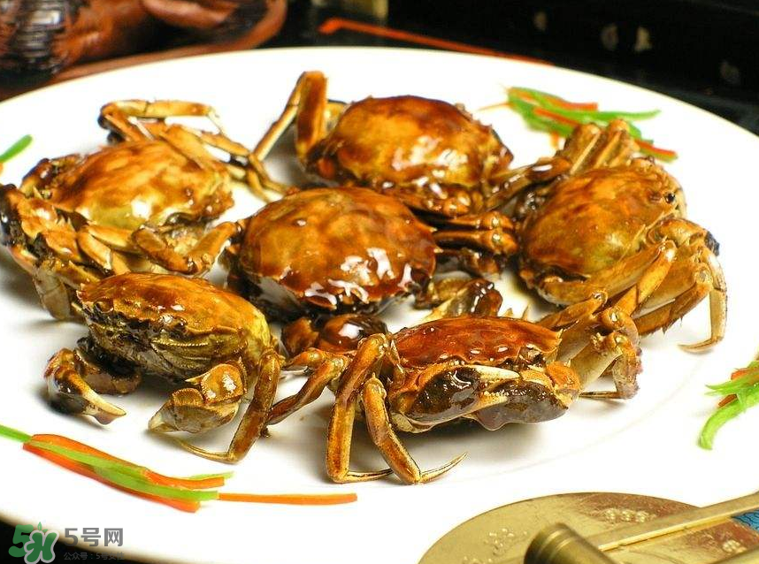 哪種螃蟹肉多？哪種螃蟹最好吃？