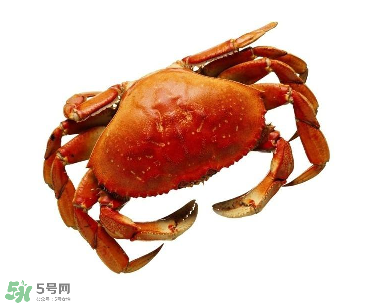 哪種螃蟹不能吃？什么樣的螃蟹不能吃？