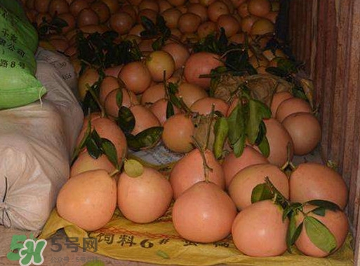 三紅蜜柚是哪里產的？三紅蜜柚什么時候上市？