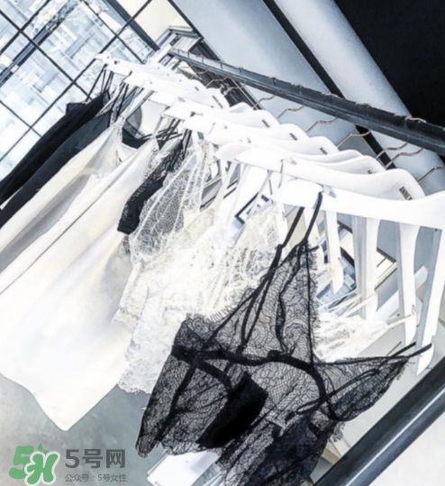 anine bing是什么牌子？anine bing是什么檔次？