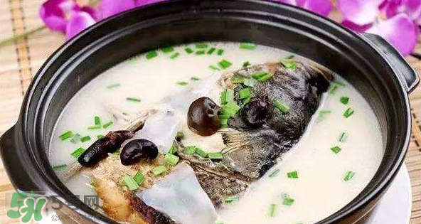 怎樣吃魚最有營養(yǎng)？喝魚湯會致高脂血癥嗎？