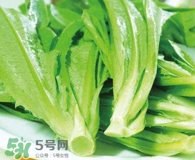 萵苣葉能吃嗎？萵苣葉和油麥菜有什么區別