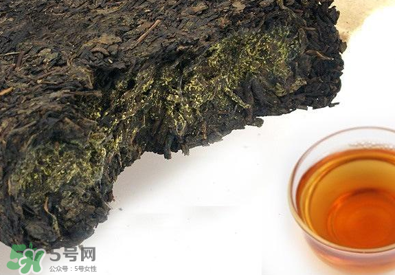 茯茶是熱性還是涼性？茯茶是不是放越久越好？
