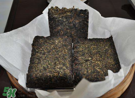 茯茶是熱性還是涼性？茯茶是不是放越久越好？