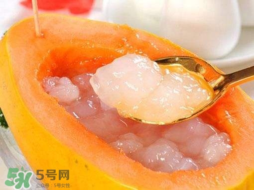 如何分辨雪蛤真假？挑雪蛤的方法