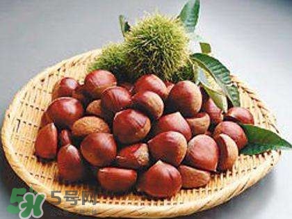板栗酒能治療腎陽虛嗎？板栗泡酒真的能壯陽嗎？