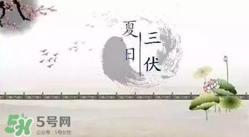 三伏天練什么？三伏天具體怎么養生？