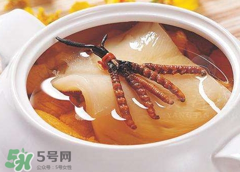 花膠能天天吃嗎？花膠一天吃多少克？