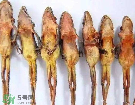 雪蛤干多少錢一斤？雪蛤干怎么吃？