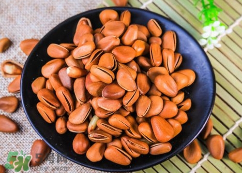 松籽什么季節采摘？吃松籽有什么好處？