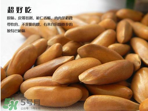 松籽過期還能吃嗎？松籽出芽是怎么回事