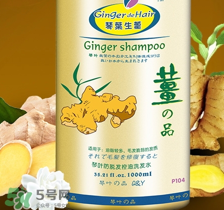 琴葉洗發(fā)水是哪國(guó)的？琴葉洗發(fā)水是幾線品牌