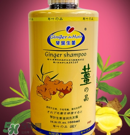 琴葉洗發(fā)水是哪國(guó)的？琴葉洗發(fā)水是幾線品牌