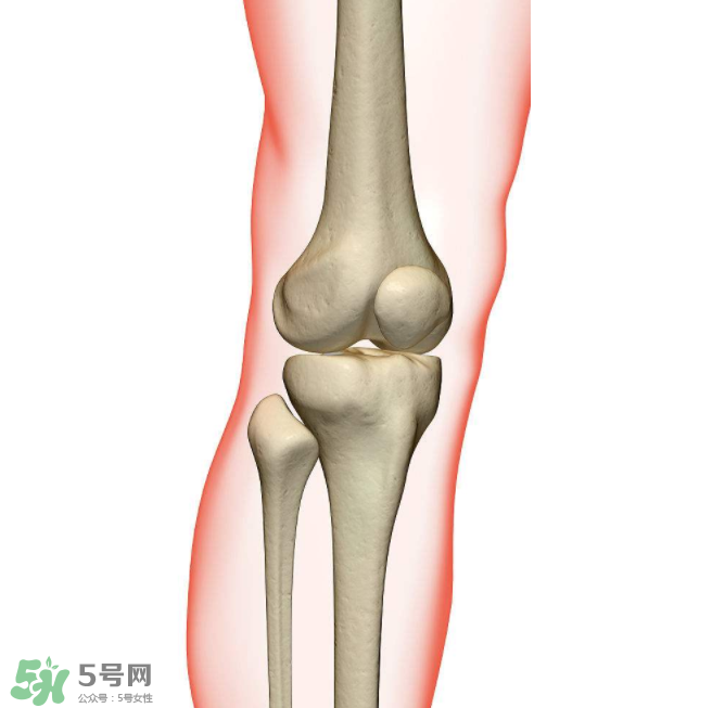 風(fēng)濕不治療可以治愈嗎？早期風(fēng)濕能自愈嗎？