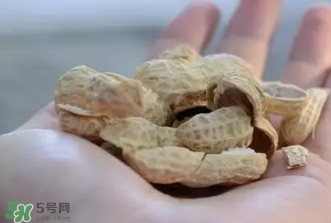 花生發芽后營養如何？花生殼煮水喝有什么用？
