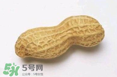 花生有哪些種類型？花生怎么栽培管理？