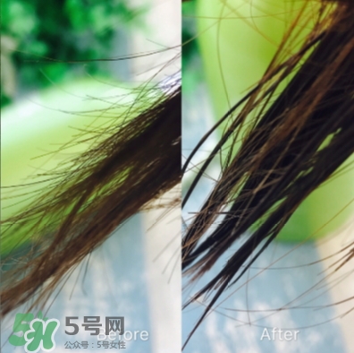 ts護發素怎么樣？ts護發素多少錢