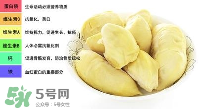 榴蓮可以榨汁嗎？榴蓮可以和什么榨汁？